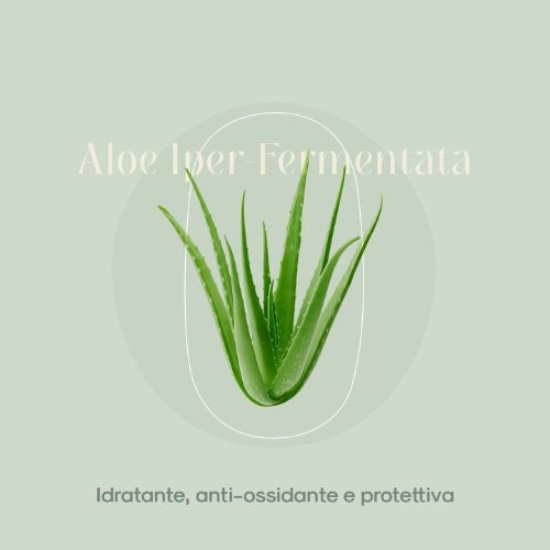 aloe
